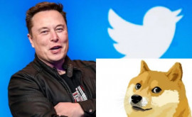 Elon Musk schimbă logoul Twitter