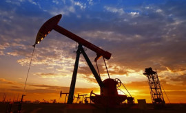 Prețurile mondiale ale petrolului în scădeere 