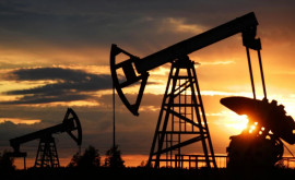 Цены на нефть упали 