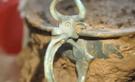 Un căutător de metale galez a găsit pe cîmp un castron cu cap de taur din perioada cuceririi romane