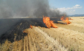 Фермеров призвали обеспечить противопожарную безопасность в полях