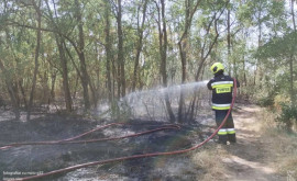 Un incendiu a izbucnit în ocolul silvic Sculeni