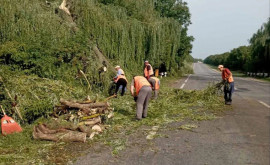 Utilaje speciale și sute de muncitori rutieri lucrează pentru înlăturarea consecințelor ploii