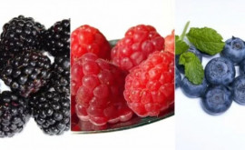Какой урожай ягод ожидается в Молдове и сколько уйдет на экспорт 