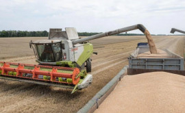 Ce volum de cereale ar putea recolta Ucraina în acest an 