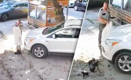 Imagini revoltătoare Un bărbat a aruncat în stradă șapte pisici