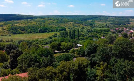 Mihail Potorac Parcul Conacul Balioz este durerea noastră permanentă