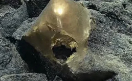 Загадочное золотое яйцо найдено на дне океана у берегов Аляски