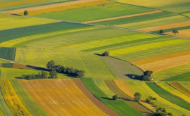 Franţa va investi milioane de dolari în dezvoltare agricolă