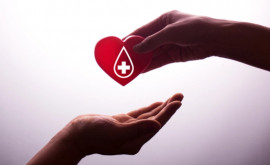 По случаю Дня города в Кишиневе будет организована добровольная сдача крови
