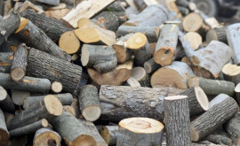 В этом году дрова стали дороже Что говорят представители агентства Moldsilva