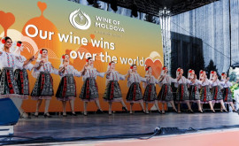 День вина в Молдове в одном видеоклипе
