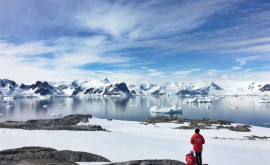 Gripa aviară detectată pentru prima dată în largul coastelor Antarcticii