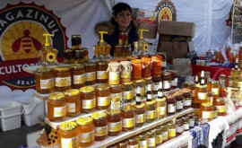 В Кишиневе проходит ярмарка пчеловодов какие цены на продукцию