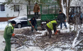 Semafoare stricate piloni și arbori doborîți intervențiile serviciilor municipale