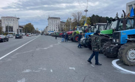 Фермеры возвращаются на площадь Великого национального собрания