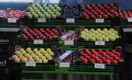 Producători de fructe din ţară sau reunit pentru a găsi soluţiile la provocările din sector