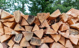CNAS a alocat compensațiile pentru lemne pentru luna noiembrie