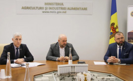 La MAIA au avut loc discuții despre planurile pentru 2024