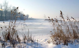Озера замерзли Спасатели призывают людей быть осторожными