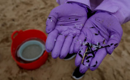 Испанские экологи бьют тревогу пляжи загрязнены пластиком