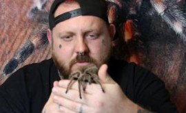 Un bărbat șochează cu o colecție de peste 700 de tarantule