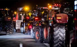 Фермеры заблокировали пограничные пункты между Бельгией и Нидерландами
