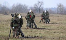На учебной военной базе в Бульбоаке проходят практические занятия 