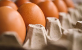 Как изменилась за год цена яиц в Молдове перед Пасхой 