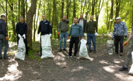  În Ocolul Silvic Telenești sa desfășurat o acțiune de salubrizare