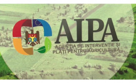 AIPA Reamintim despre posibilitatea de depunere online a cererilior