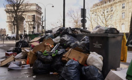 Одна из европейских столиц погрязла в мусоре 