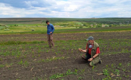 Un nou sit arheologic a fost descoperit întrun sat din Moldova