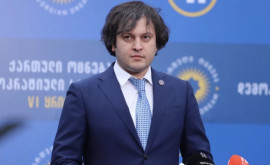 Премьер Грузии заявил что еврокомиссар угрожал ему судьбой Фицо