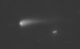Недавно открытую комету скоро можно будет увидеть невооруженным глазом