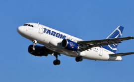 Самолет Tarom вернулся в парижский аэропорт после столкновения со стаей птиц