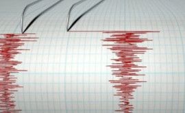 Cильное землетрясение на архипелаге в самой опасной части Тихого океана