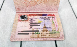 Cui Canada a promis că va acorda cîteva mii de vize temporare