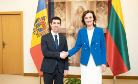 Șeful diplomației Republicii Moldova Mihai Popșoi a discutat cu președinta Seimasului Lituaniei