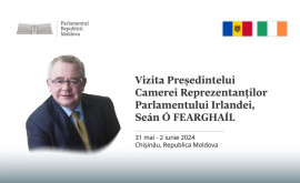 Președintele Camerei Reprezentanților Parlamentului Irlandei va efectua o vizită în Moldova