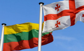 Дипломатический скандал между Грузией и Литвой