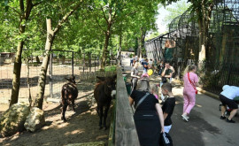 Sute de copii au mers astăzi la Grădina Zoologică din capitală