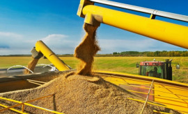 Rusia anunță că nu mai vinde cereale pe piața europeană