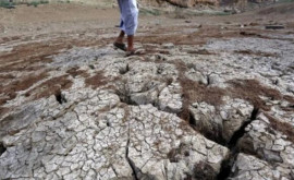 Кипр страдает от жары и засухи