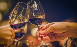 Новый успех молдавских вин на международном конкурсе 