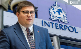 Guvernul confirmă implicarea oficialilor în schema cu INTERPOL