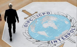 Dragalin Au fost identificați 30 de presupuși beneficiari ai schemei infracționale depistată la Interpol