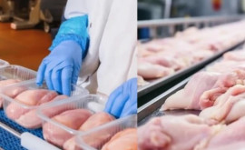 Moldova începe să exporte carne proaspătă de pasăre în Uniunea Europeană