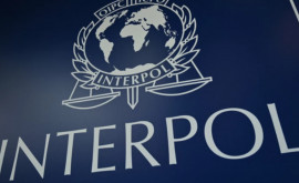 Глава ГИП раскрыл новые подробности расследования дела Интерпола в Молдове