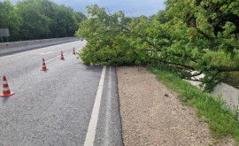 Vîntul și ploaia au provocat pagube pe mai multe sectoare de drum din țară